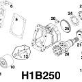 Схема гидронасоса  H1B250